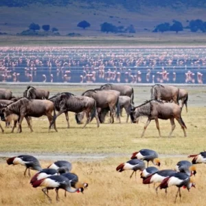 Kenya Highlights - KTB
