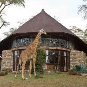naivasha sopa lodge