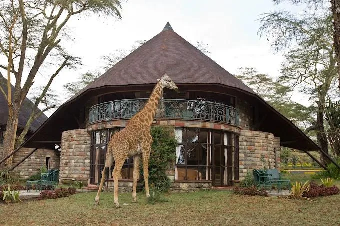 naivasha sopa lodge