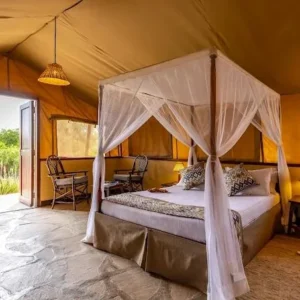 sentrim tsavo