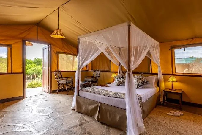 sentrim tsavo